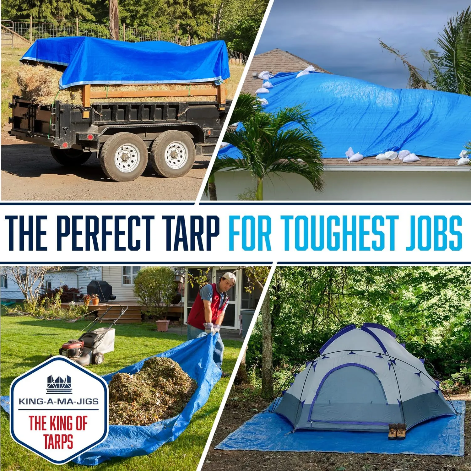 12x20 Tarp Waterproof Plastic Tarp with Grommets Every 18 Inches - 5 Mil - Multipurpose Water Proof Rain Cover, Outdoor, Garden, Camping, Emergency Survival (Reversible Tarpaulin, Blue and Silver)