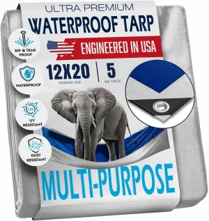 12x20 Tarp Waterproof Plastic Tarp with Grommets Every 18 Inches - 5 Mil - Multipurpose Water Proof Rain Cover, Outdoor, Garden, Camping, Emergency Survival (Reversible Tarpaulin, Blue and Silver)