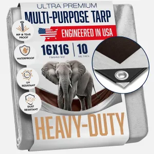 16x16 Heavy Duty Tarp, 10 Mil Thick, Waterproof, Tear & Fade Resistant, High Durability, UV Treated, Grommets Every 18 Inches. (Silver/Brown - Reversible) (16 x 16 Feet)