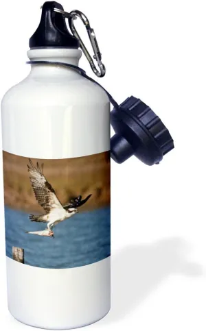 3dRose "Osprey bird (Pandion haliaetus) in flight, Texas, USA-US44 LDI0510-Larry Ditto, 21oz" Sports Water Bottle, 21 oz, White