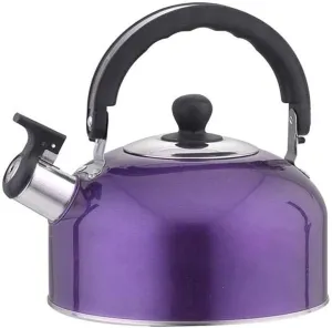 3L Stainless Steel Whistling Camping Bottle Lightweight Kettle for Camping Trips ()