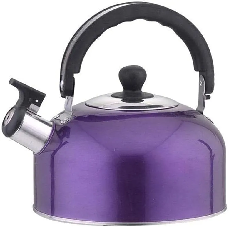 3L Stainless Steel Whistling Camping Bottle Lightweight Kettle for Camping Trips ()