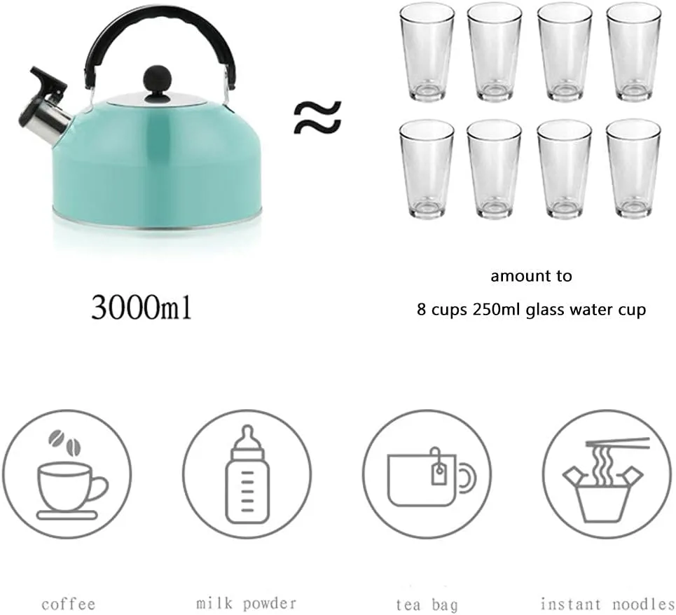 3L Stainless Steel Whistling Camping Bottle Lightweight Kettle for Camping Trips ()