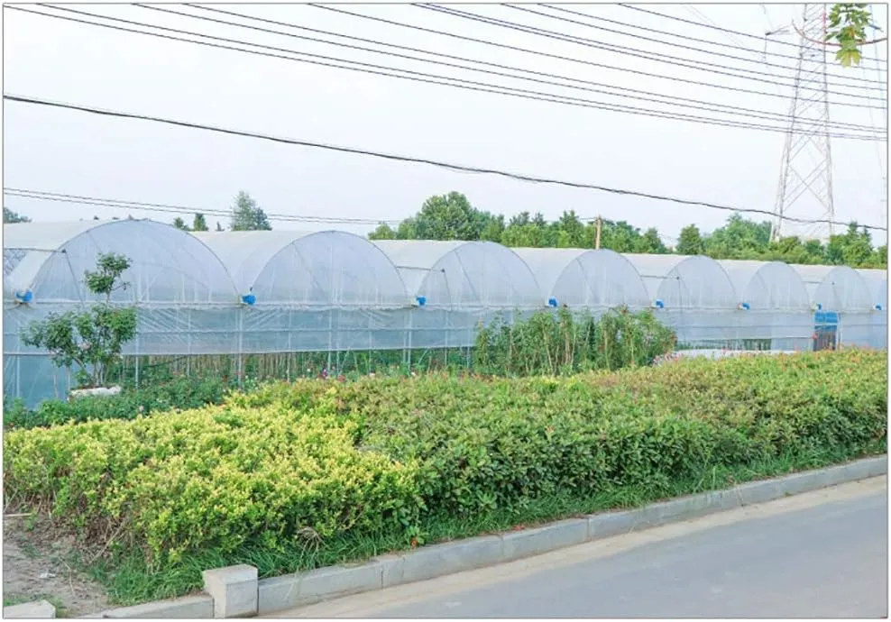 LXB Outdoor Multipurpose Tarpaulin-Waterproof Clear Tarp with Reinforced Corners, Transparent Greenhouse Film 4-Mil, Succulents Open Storage/Garden Tent,2Mx2M