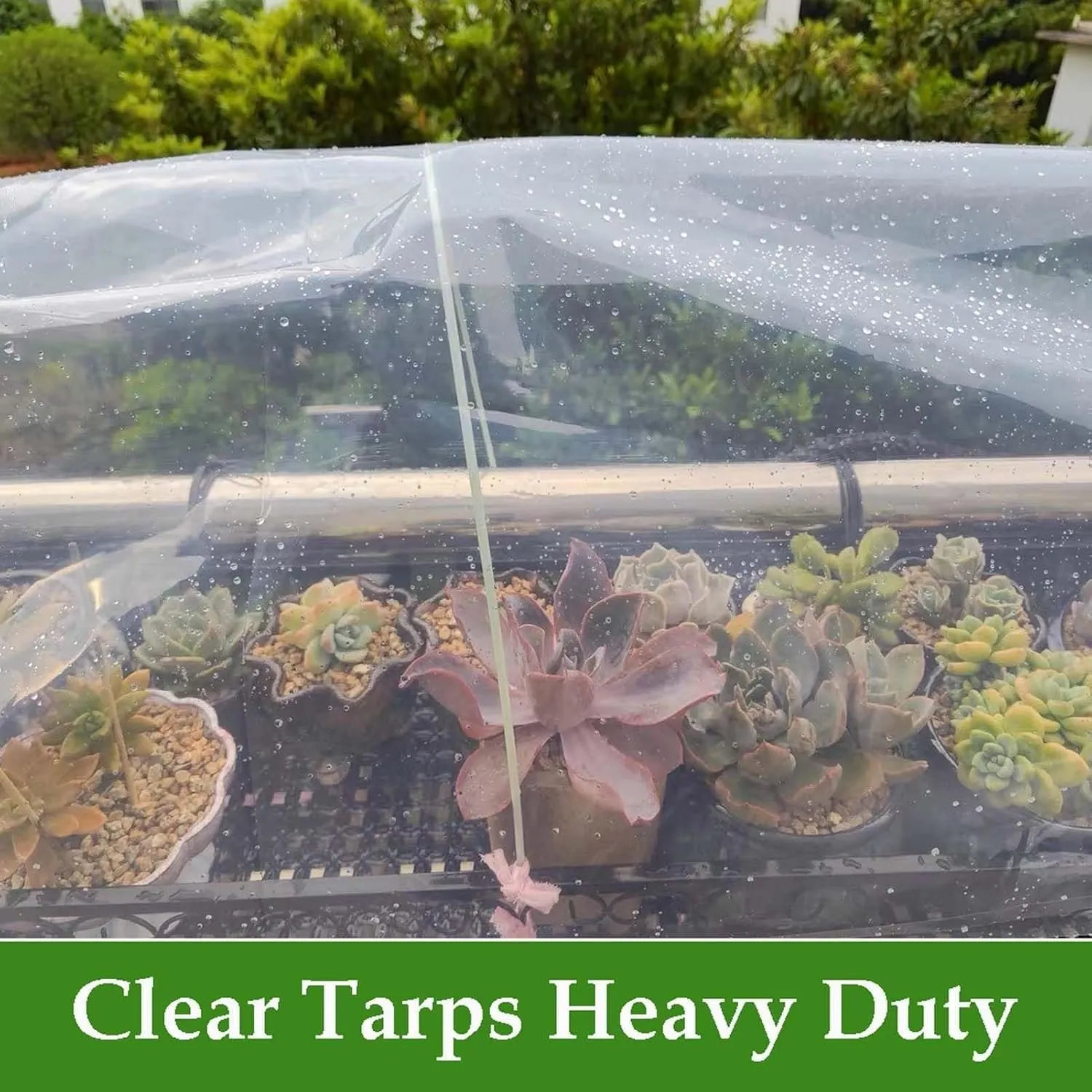 Transparent Waterproof Tarpaulin, Outdoor Clear Tarp Duty Heavy Tear Resistant, Transparent Tarpaulin for Covering Henhouse Porch Canopy Plant Camping Greenhouse, Cars, Patio and Pavilion(2m*8m)