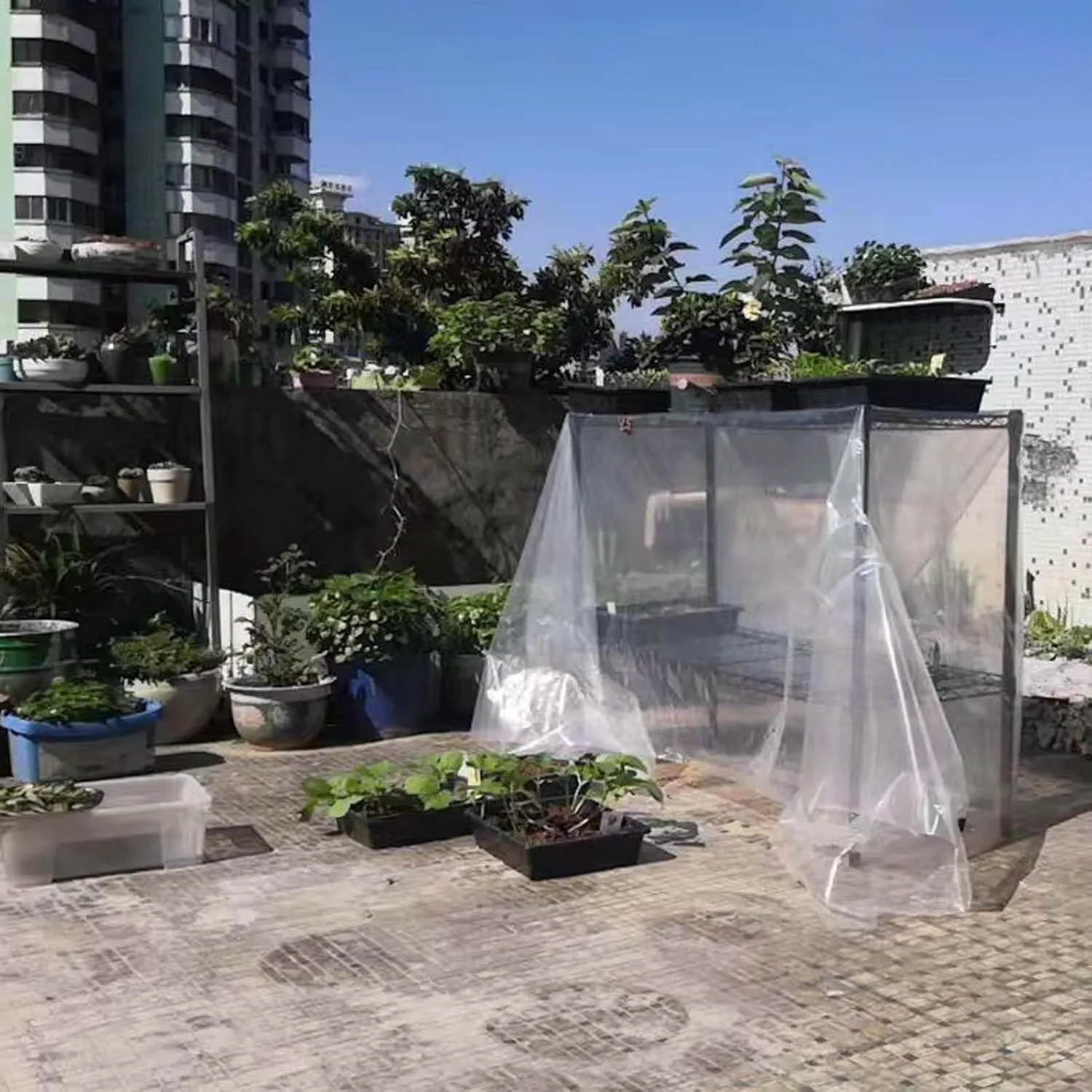 Transparent Waterproof Tarpaulin, Outdoor Clear Tarp Duty Heavy Tear Resistant, Transparent Tarpaulin for Covering Henhouse Porch Canopy Plant Camping Greenhouse, Cars, Patio and Pavilion(2m*8m)